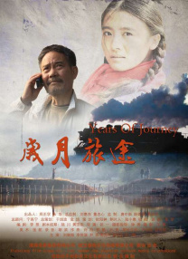 free性护士videos中国